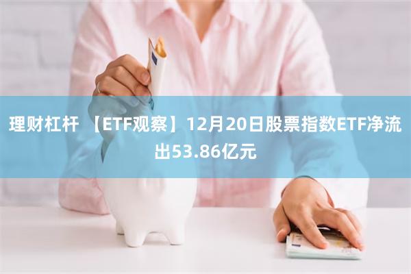 理财杠杆 【ETF观察】12月20日股票指数ETF净流出53.86亿元