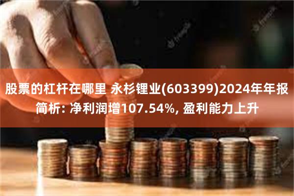 股票的杠杆在哪里 永杉锂业(603399)2024年年报简析: 净利润增107.54%, 盈利能力上升