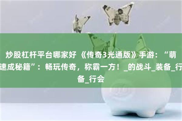 炒股杠杆平台哪家好 《传奇3光通版》手游：“萌新速成秘籍”：畅玩传奇，称霸一方！_的战斗_装备_行会