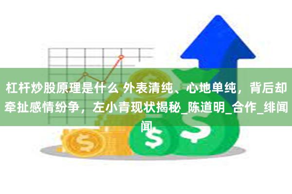 杠杆炒股原理是什么 外表清纯、心地单纯，背后却牵扯感情纷争，左小青现状揭秘_陈道明_合作_绯闻