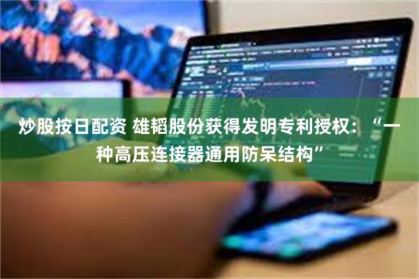 炒股按日配资 雄韬股份获得发明专利授权：“一种高压连接器通用防呆结构”