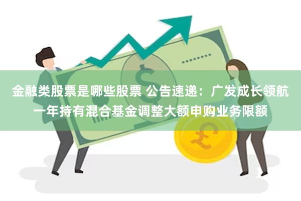 金融类股票是哪些股票 公告速递：广发成长领航一年持有混合基金调整大额申购业务限额
