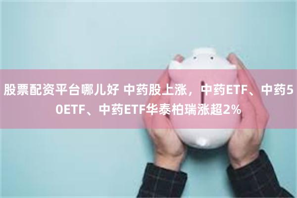 股票配资平台哪儿好 中药股上涨，中药ETF、中药50ETF、中药ETF华泰柏瑞涨超2%