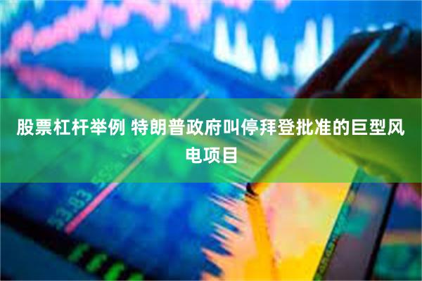 股票杠杆举例 特朗普政府叫停拜登批准的巨型风电项目
