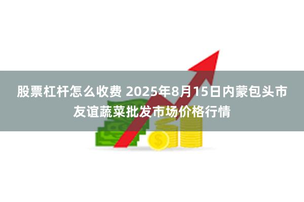 股票杠杆怎么收费 2025年8月15日内蒙包头市友谊蔬菜批发市场价格行情