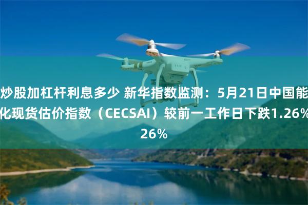 炒股加杠杆利息多少 新华指数监测:5月21日中国能化现货估价指数(CECSAI)较前一工作日下跌1.26%