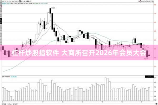 杠杆炒股指软件 大商所召开2026年会员大会
