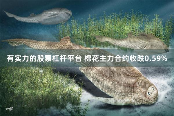 有实力的股票杠杆平台 棉花主力合约收跌0.59%
