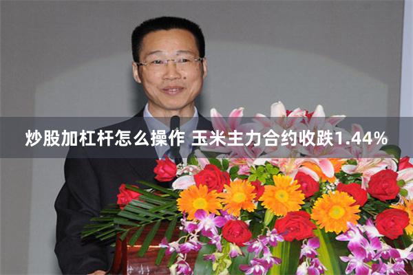 炒股加杠杆怎么操作 玉米主力合约收跌1.44%