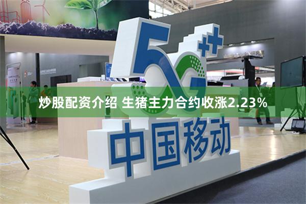 炒股配资介绍 生猪主力合约收涨2.23%