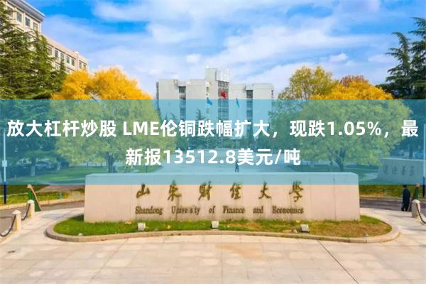 放大杠杆炒股 LME伦铜跌幅扩大，现跌1.05%，最新报13512.8美元/吨