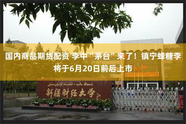 国内商品期货配资 李中“茅台”来了！镇宁蜂糖李将于6月20日前后上市