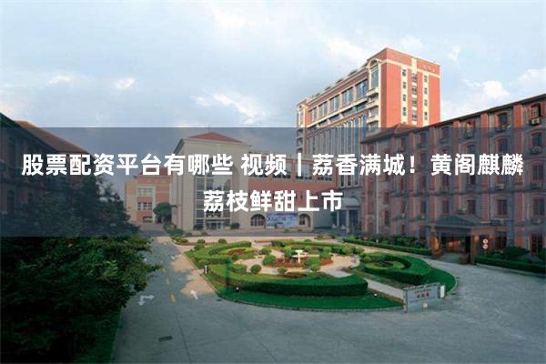 股票配资平台有哪些 视频｜荔香满城！黄阁麒麟荔枝鲜甜上市