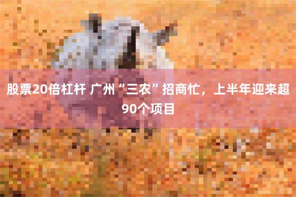 股票20倍杠杆 广州“三农”招商忙，上半年迎来超90个项目