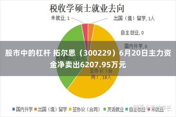 股市中的杠杆 拓尔思（300229）6月20日主力资金净卖出6207.95万元
