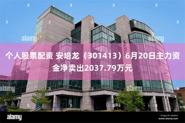 个人股票配资 安培龙（301413）6月20日主力资金净卖出2037.79万元