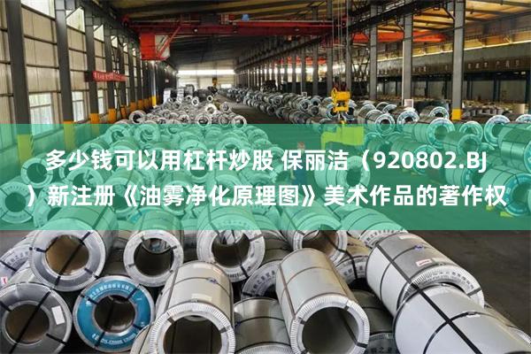 多少钱可以用杠杆炒股 保丽洁（920802.BJ）新注册《油雾净化原理图》美术作品的著作权