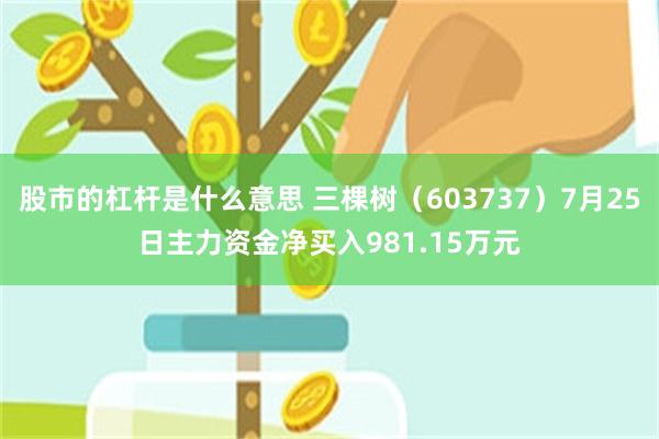 股市的杠杆是什么意思 三棵树(603737)7月25日主力资金净买入981.15万元