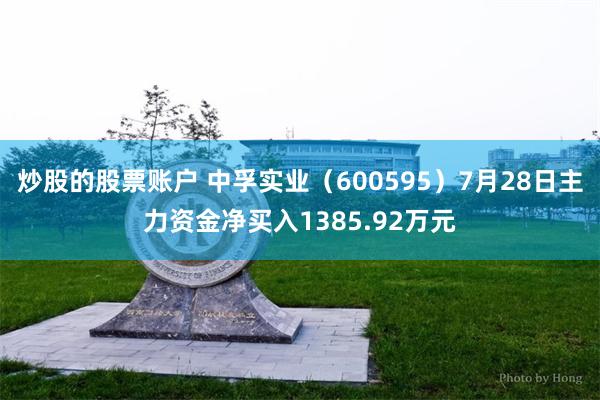炒股的股票账户 中孚实业（600595）7月28日主力资金净买入1385.92万元