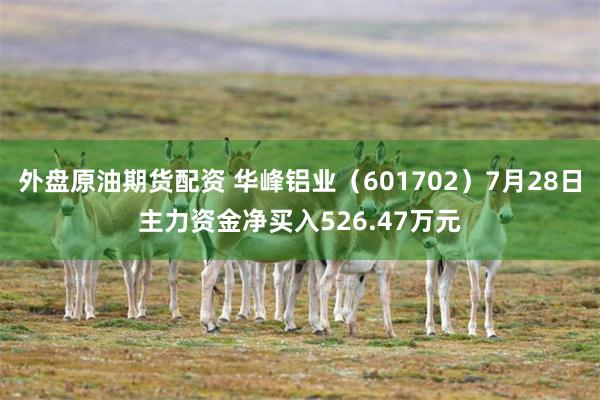 外盘原油期货配资 华峰铝业（601702）7月28日主力资金净买入526.47万元