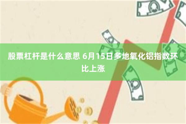 股票杠杆是什么意思 6月15日多地氧化铝指数环比上涨