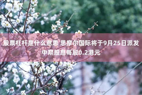 股票杠杆是什么意思 思摩尔国际将于9月25日派发中期股息每股0.2港元