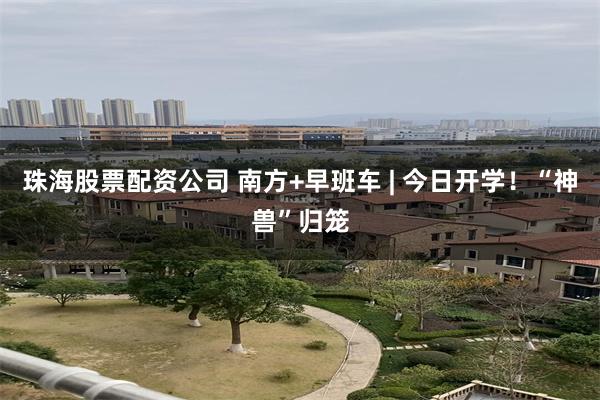 珠海股票配资公司 南方+早班车 | 今日开学！“神兽”归笼