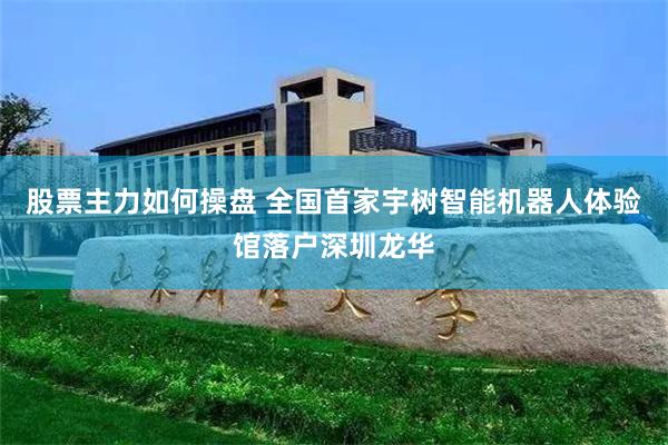 股票主力如何操盘 全国首家宇树智能机器人体验馆落户深圳龙华