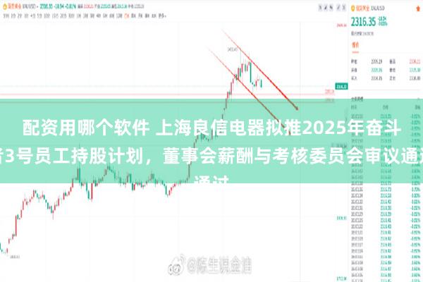 配资用哪个软件 上海良信电器拟推2025年奋斗者3号员工持股计划，董事会薪酬与考核委员会审议通过