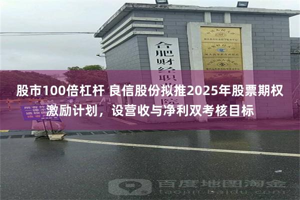 股市100倍杠杆 良信股份拟推2025年股票期权激励计划，设营收与净利双考核目标