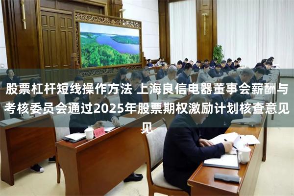 股票杠杆短线操作方法 上海良信电器董事会薪酬与考核委员会通过2025年股票期权激励计划核查意见