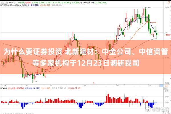 为什么要证券投资 北新建材：中金公司、中信资管等多家机构于12月23日调研我司