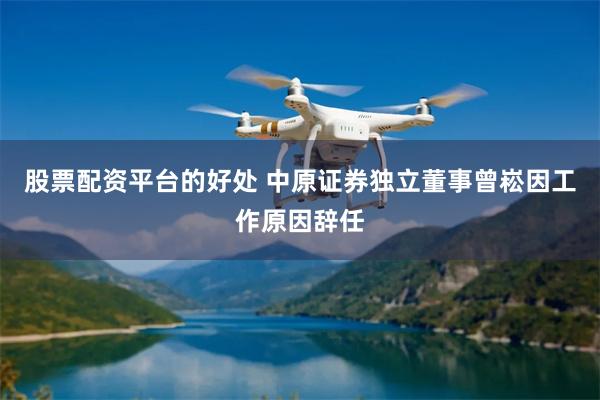 股票配资平台的好处 中原证券独立董事曾崧因工作原因辞任
