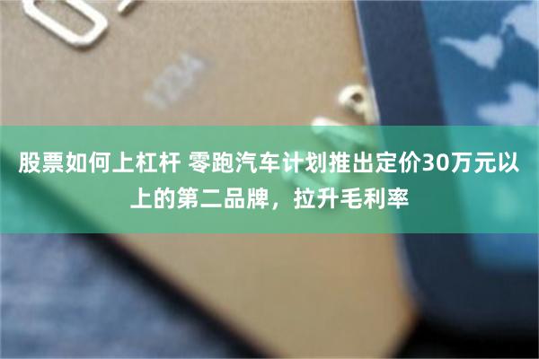 股票如何上杠杆 零跑汽车计划推出定价30万元以上的第二品牌，拉升毛利率