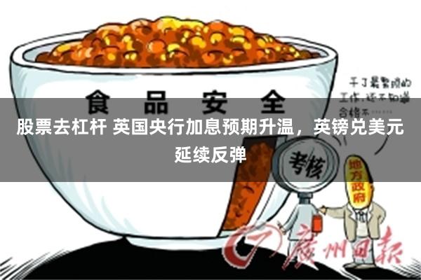 股票去杠杆 英国央行加息预期升温，英镑兑美元延续反弹