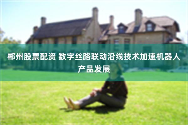 郴州股票配资 数字丝路联动沿线技术加速机器人产品发展