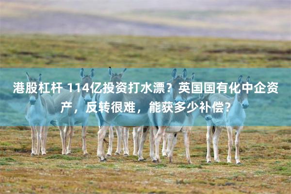 港股杠杆 114亿投资打水漂？英国国有化中企资产，反转很难，能获多少补偿？