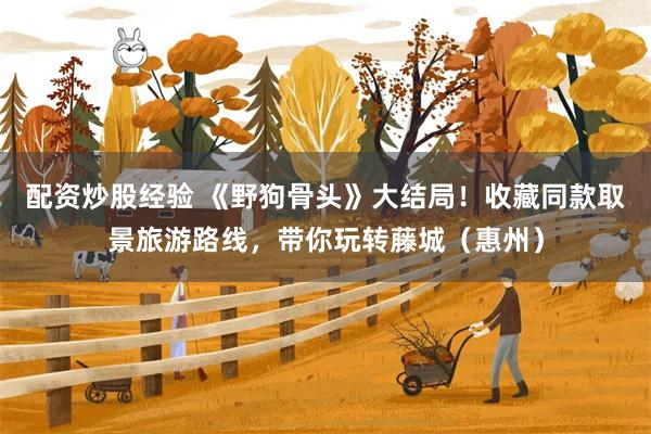 配资炒股经验 《野狗骨头》大结局！收藏同款取景旅游路线，带你玩转藤城（惠州）