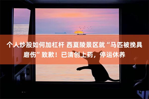 个人炒股如何加杠杆 西夏陵景区就“马匹被挽具磨伤”致歉！已清创上药，停运休养