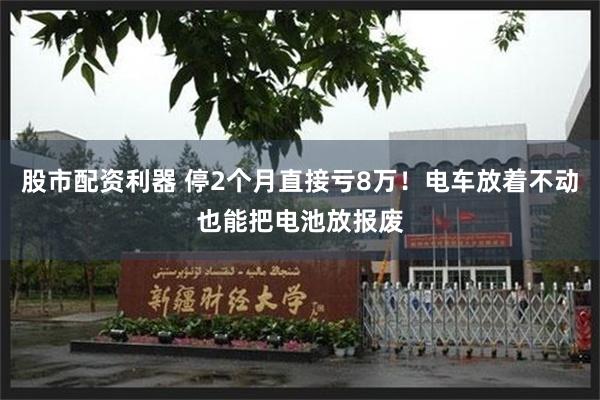 股市配资利器 停2个月直接亏8万！电车放着不动也能把电池放报废