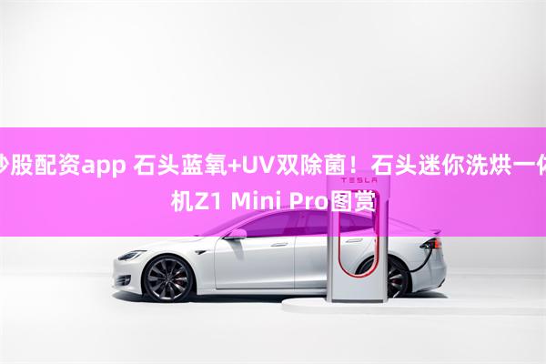 炒股配资app 石头蓝氧+UV双除菌！石头迷你洗烘一体机Z1 Mini Pro图赏