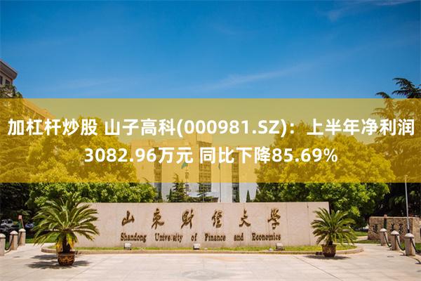 加杠杆炒股 山子高科(000981.SZ)：上半年净利润3082.96万元 同比下降85.69%