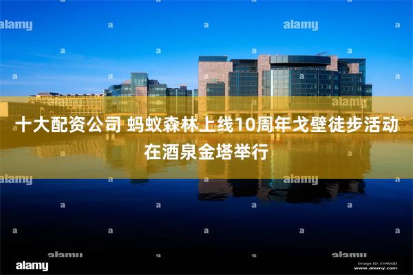 十大配资公司 蚂蚁森林上线10周年戈壁徒步活动在酒泉金塔举行
