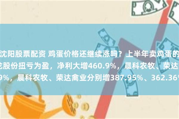 沈阳股票配资 鸡蛋价格还继续涨吗？上半年卖鸡蛋的上市公司赚翻了：晋龙股份扭亏为盈，净利大增460.9%，晨科农牧、荣达禽业分别增387.95%、362.36%