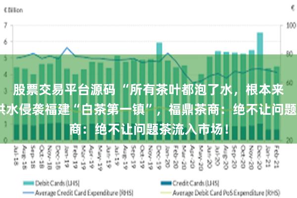 股票交易平台源码 “所有茶叶都泡了水，根本来不及抢”，洪水侵袭福建“白茶第一镇”，福鼎茶商：绝不让问题茶流入市场！