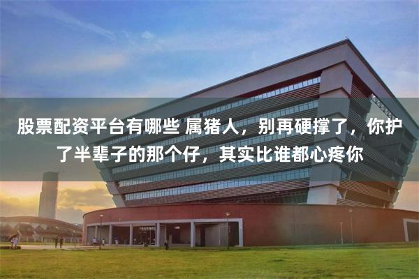 股票配资平台有哪些 属猪人，别再硬撑了，你护了半辈子的那个仔，其实比谁都心疼你
