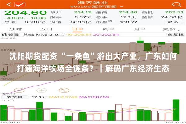 沈阳期货配资 “一条鱼”游出大产业,广东如何打通海洋牧场全链条?|解码广东经济生态