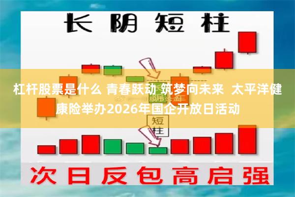 杠杆股票是什么 青春跃动 筑梦向未来  太平洋健康险举办2026年国企开放日活动