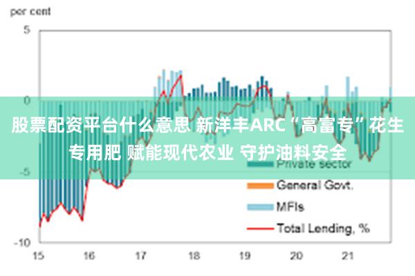 股票配资平台什么意思 新洋丰ARC“高富专”花生专用肥 赋能现代农业 守护油料安全