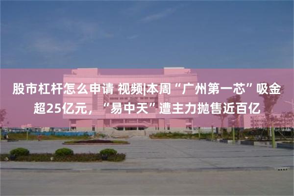 股市杠杆怎么申请 视频|本周“广州第一芯”吸金超25亿元，“易中天”遭主力抛售近百亿